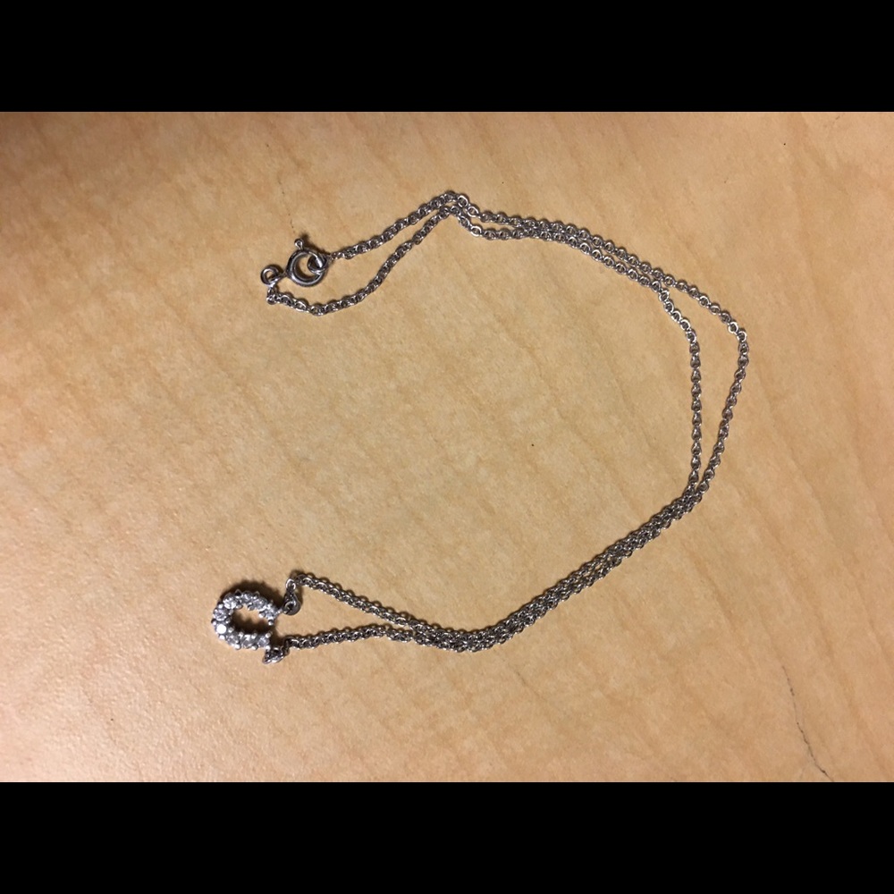 Pave stoned horseshoe necklace
